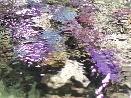 Pompe circolazione e movimento acqua